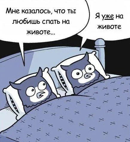 23 картинки сентября 2026, от которых вы заржали 23 картинки сентября 2026, от которых вы заржали мемы, картинки, юмор, приколы, лол-арт, подборка