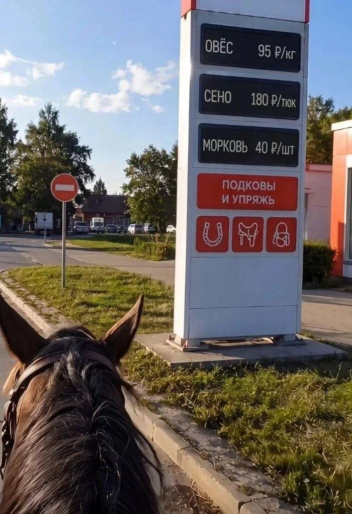 23 картинки сентября 2026, от которых вы заржали 23 картинки сентября 2026, от которых вы заржали мемы, картинки, юмор, приколы, лол-арт, подборка