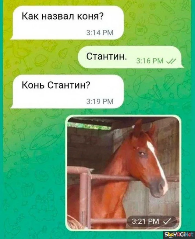 Ржака в сообщениях: 16 скринов Ржака в сообщениях: 16 скринов смс, приколы, юмор, переписки, скрины