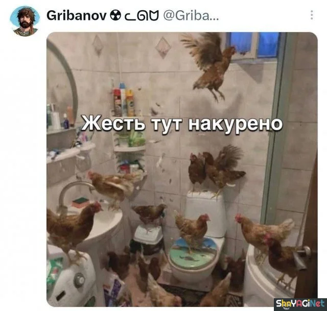 Смехотерапия: 23 прикола для хорошего настроения приколы, юмор, картинки, смех, позитив