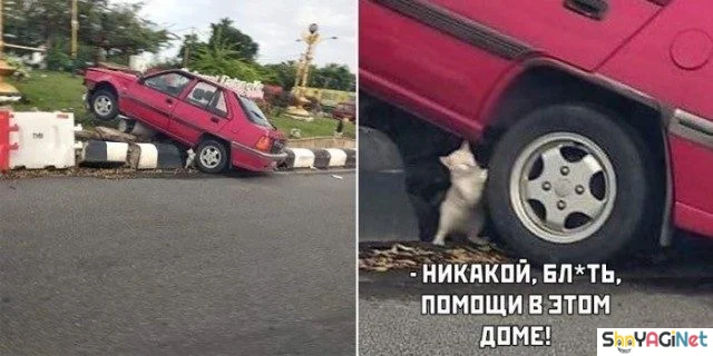 Смехотерапия: 23 прикола для хорошего настроения приколы, юмор, картинки, смех, позитив