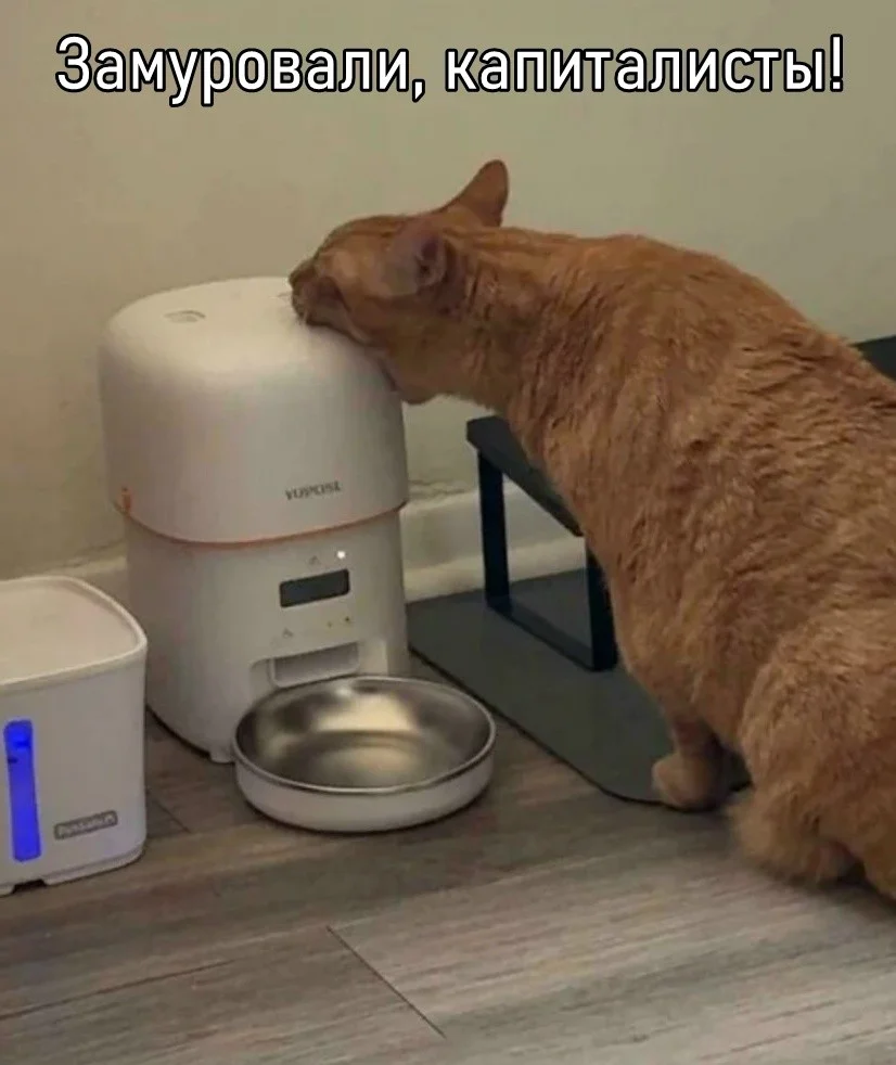 Мемы, которые спасут серый день Мемы, которые спасут серый день мемы, юмор, картинки, подборка, настроение