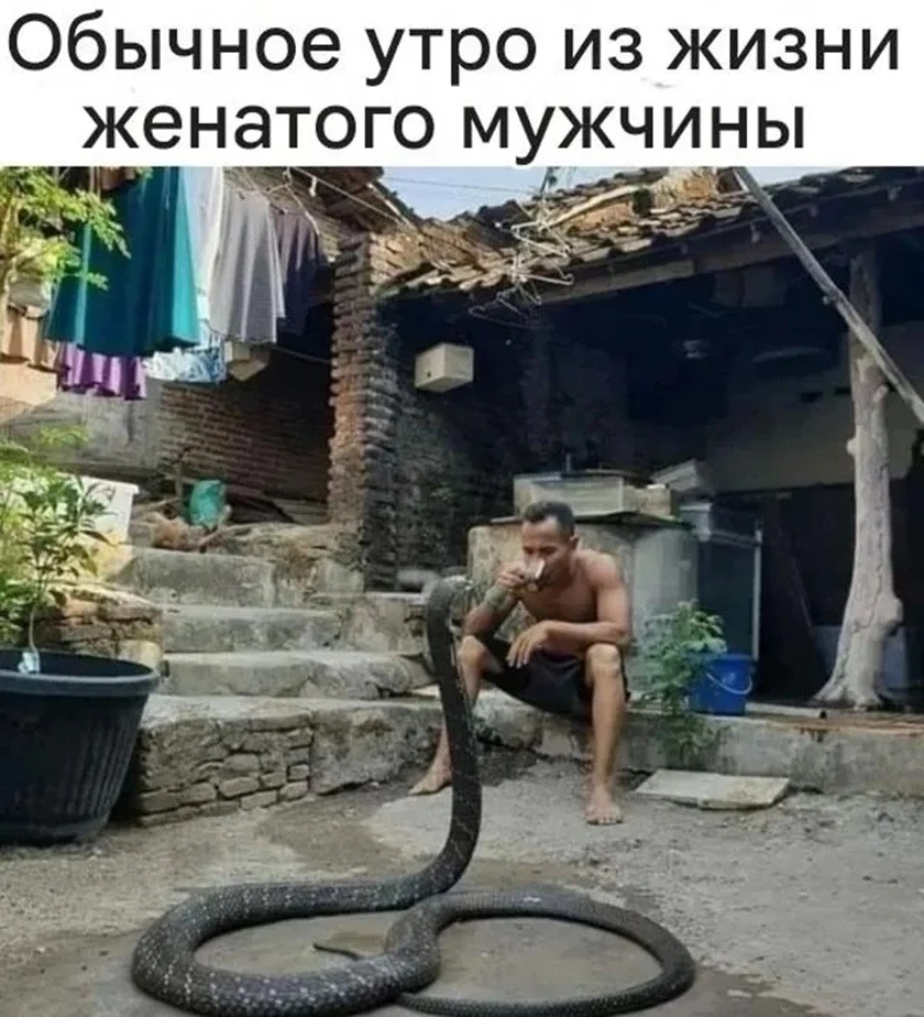 Мемы, которые спасут серый день Мемы, которые спасут серый день мемы, юмор, картинки, подборка, настроение