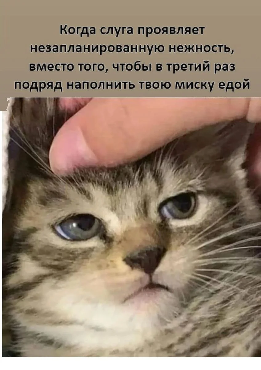 Мемы, которые спасут серый день Мемы, которые спасут серый день мемы, юмор, картинки, подборка, настроение