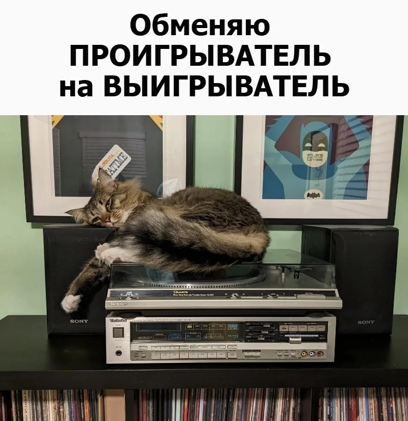 Мемы, которые спасут серый день Мемы, которые спасут серый день мемы, юмор, картинки, подборка, настроение