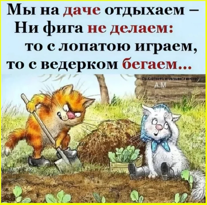 Врач-венеролог, который видел всё: смешная подборка юмор, картинки, врачи, венерология, подборка, смех