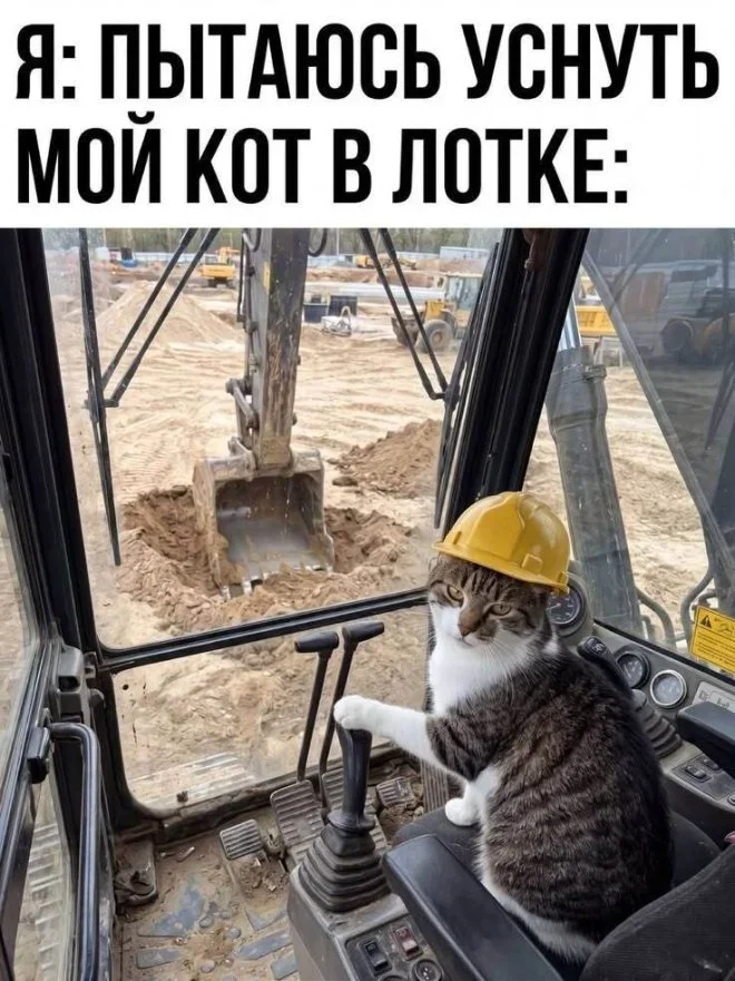 Мемы на утро: тапочки, Рианна и пельмени Мемы на утро: тапочки, Рианна и пельмени мемы, юмор, картинки, подборка, смех