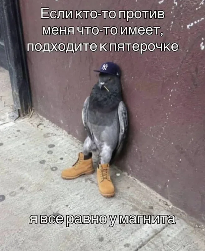 Мемы на утро: тапочки, Рианна и пельмени Мемы на утро: тапочки, Рианна и пельмени мемы, юмор, картинки, подборка, смех