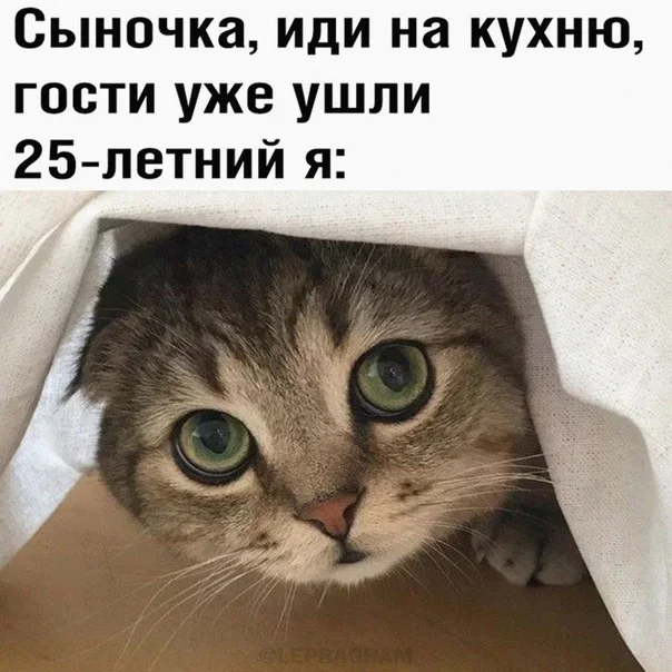 Мемы на утро: тапочки, Рианна и пельмени Мемы на утро: тапочки, Рианна и пельмени мемы, юмор, картинки, подборка, смех