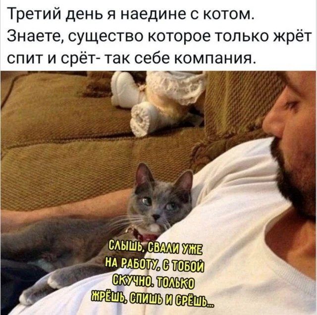 Улыбнитесь! 15 мемов для поднятия настроения мемы, юмор, картинки, приколы, смех, подборка