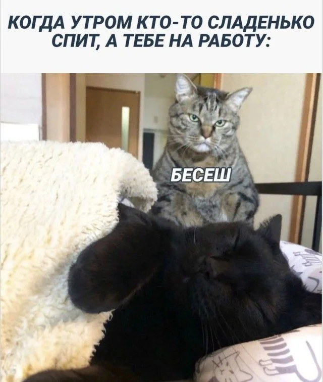 15 мемов, которые поймут все 15 мемов, которые поймут все мемы, юмор, приколы, картинки, подборка