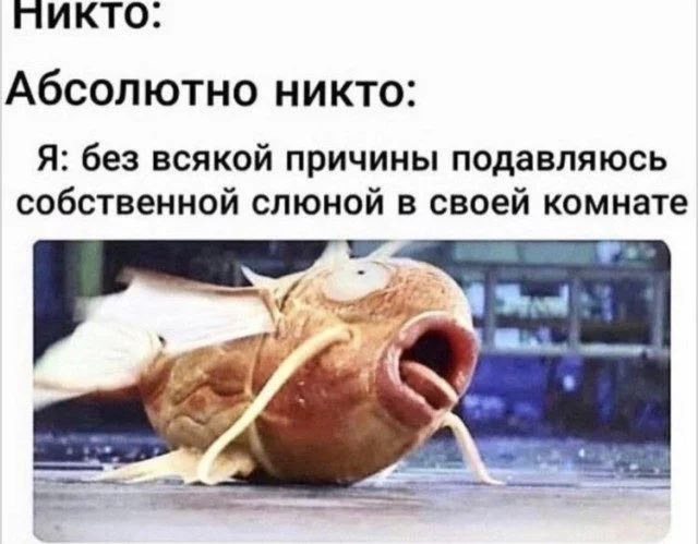 15 мемов, которые поймут все 15 мемов, которые поймут все мемы, юмор, приколы, картинки, подборка