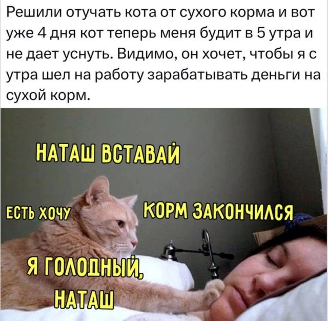 15 мемов, которые поймут все 15 мемов, которые поймут все мемы, юмор, приколы, картинки, подборка