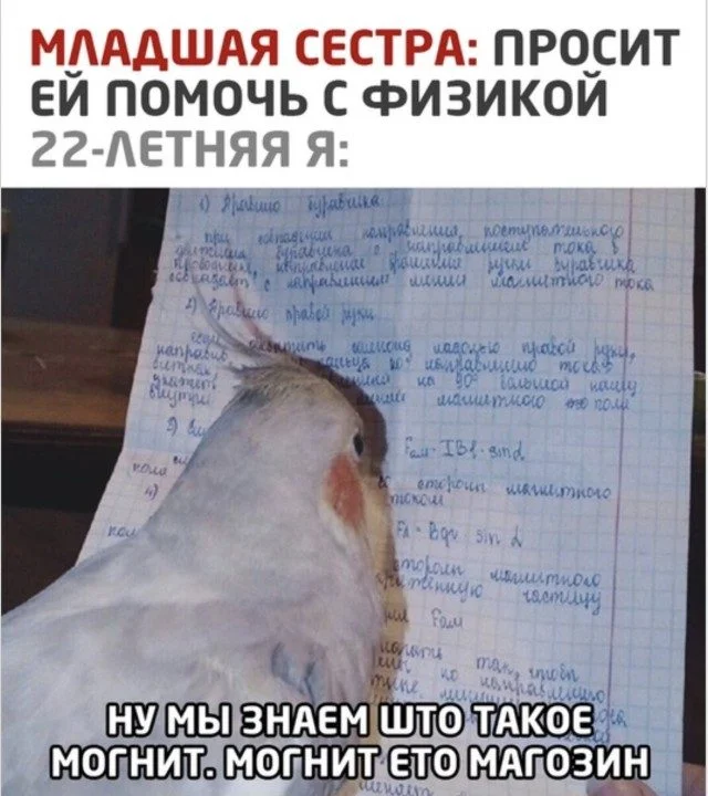 15 мемов, которые точно поднимут настроение мемы, юмор, картинки, подборка, смех