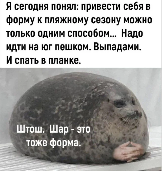 15 мемов, которые точно поднимут настроение мемы, юмор, картинки, подборка, смех