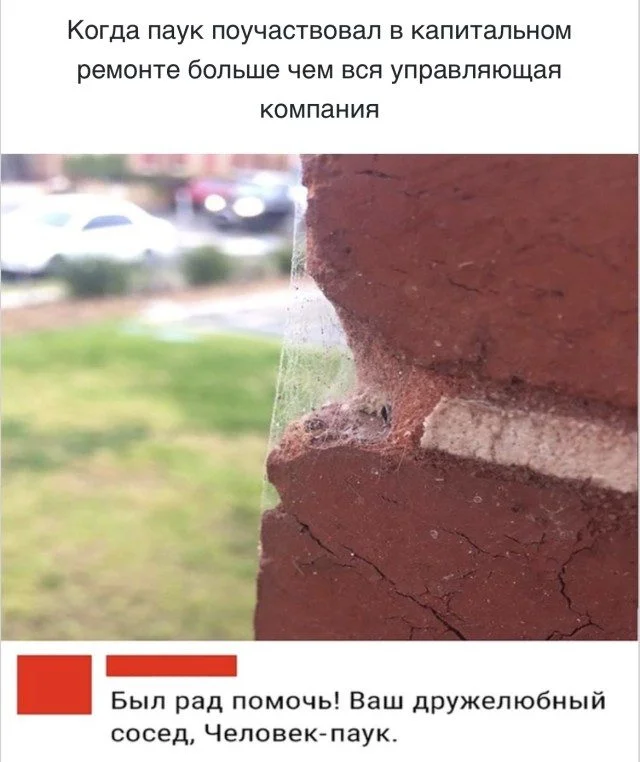 15 мемов, которые точно поднимут настроение мемы, юмор, картинки, подборка, смех