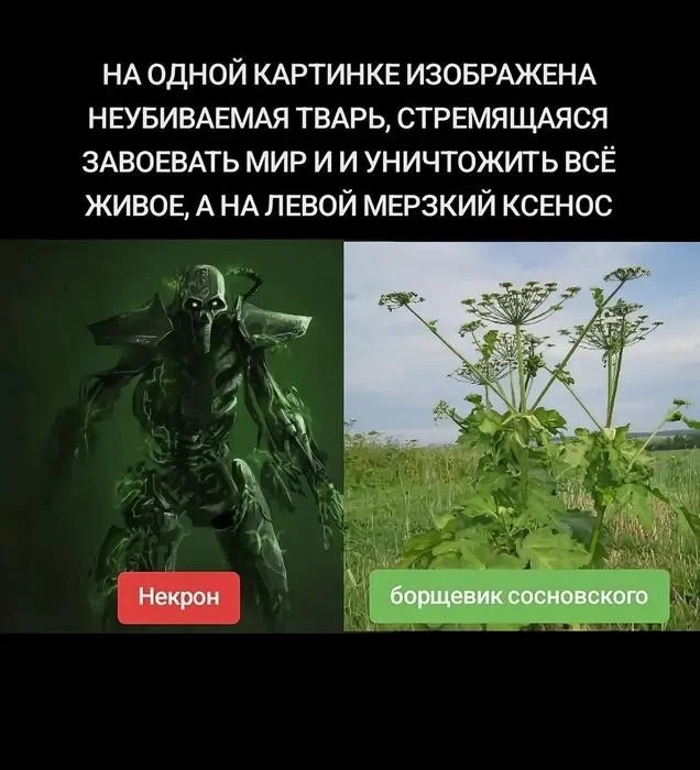 Смешные мемы: переживи середину недели с улыбкой мемы, приколы, юмор, картинки, подборка