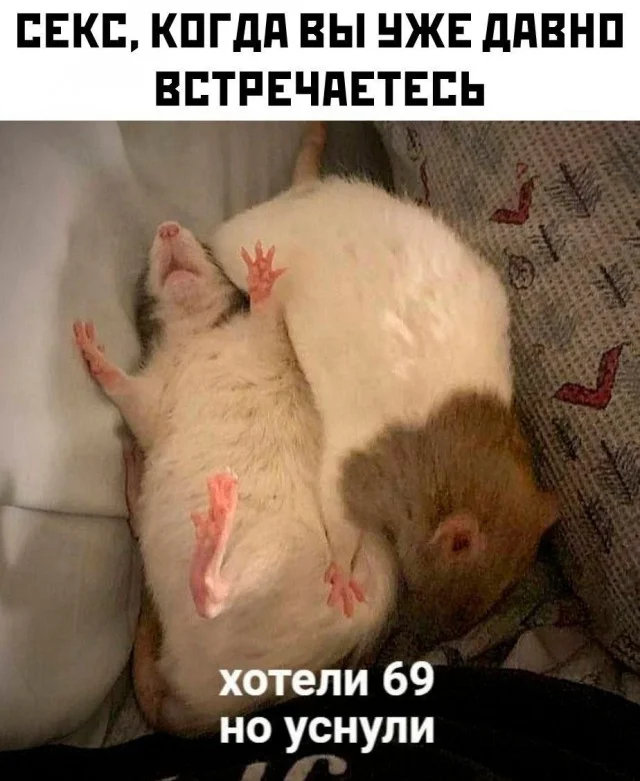 Смешные мемы: переживи середину недели с улыбкой мемы, приколы, юмор, картинки, подборка