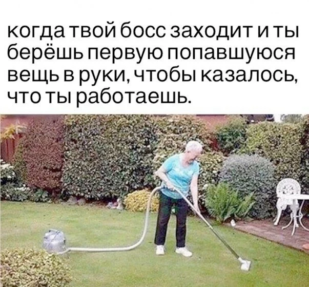 Смешные мемы: переживи середину недели с улыбкой мемы, приколы, юмор, картинки, подборка