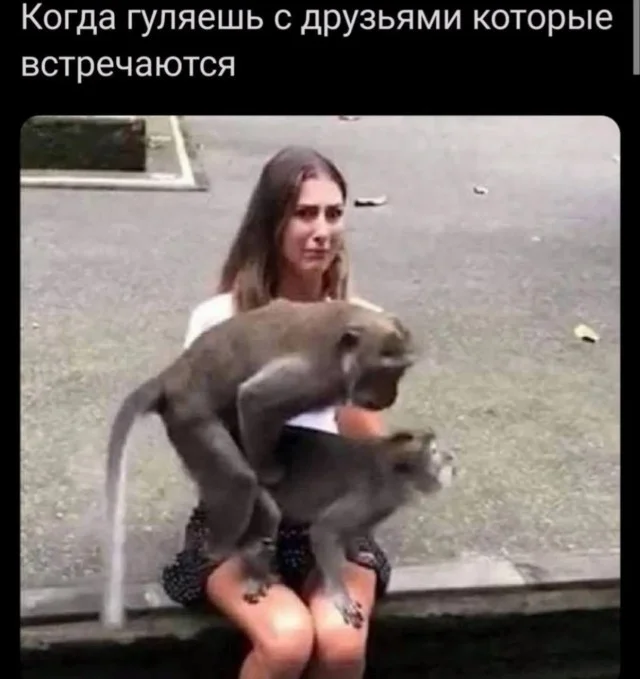 Смешные мемы: переживи середину недели с улыбкой мемы, приколы, юмор, картинки, подборка