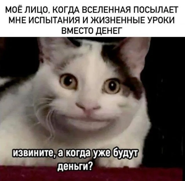 Смешные мемы: переживи середину недели с улыбкой мемы, приколы, юмор, картинки, подборка