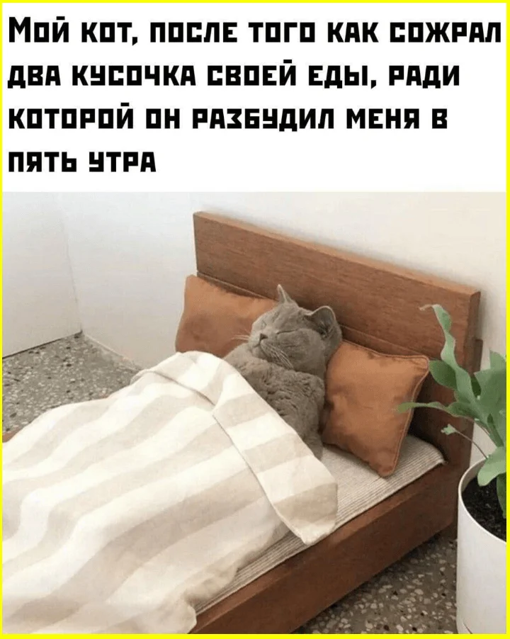 Математика — это боль школа, мемы, приколы, учеба, математика, юмор