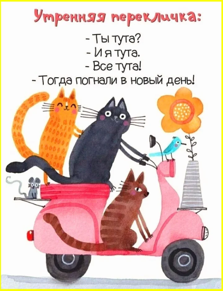 Математика — это боль школа, мемы, приколы, учеба, математика, юмор