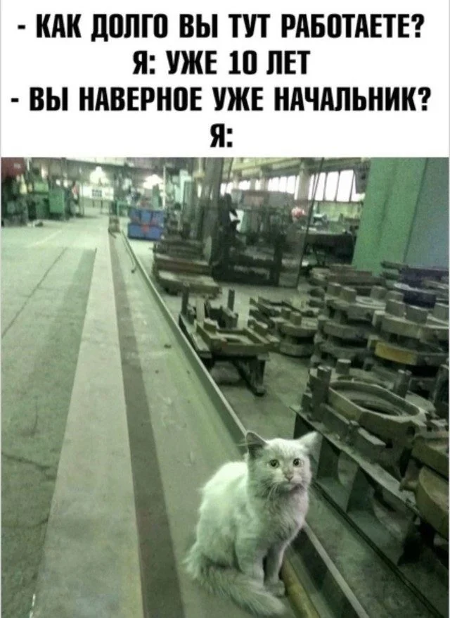 Улыбнись! 15 мемов, которые поднимут настроение мемы, юмор, приколы, картинки, смех