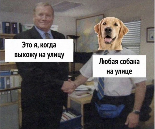Улыбнись! 15 мемов, которые поднимут настроение мемы, юмор, приколы, картинки, смех