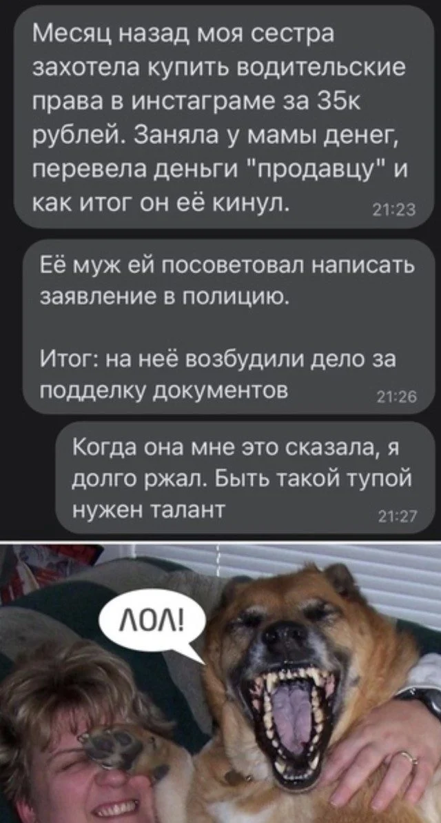 Улыбнись! 15 мемов, которые поднимут настроение мемы, юмор, приколы, картинки, смех