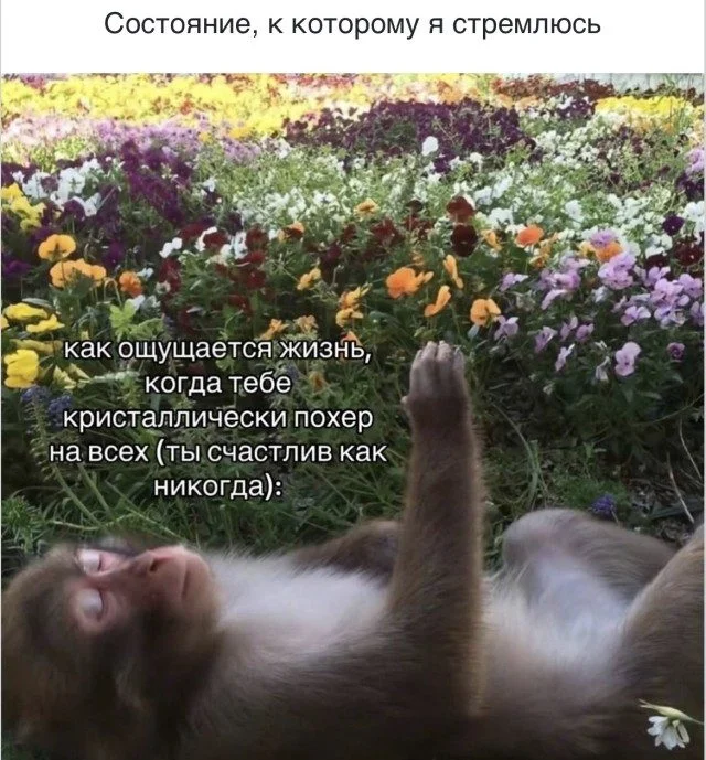 Улыбнись! 15 мемов, которые поднимут настроение мемы, юмор, приколы, картинки, смех