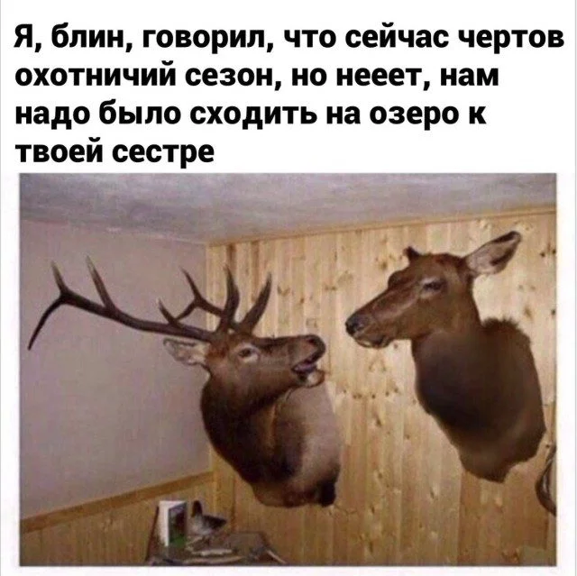 Улыбнись! 15 мемов, которые поднимут настроение мемы, юмор, приколы, картинки, смех