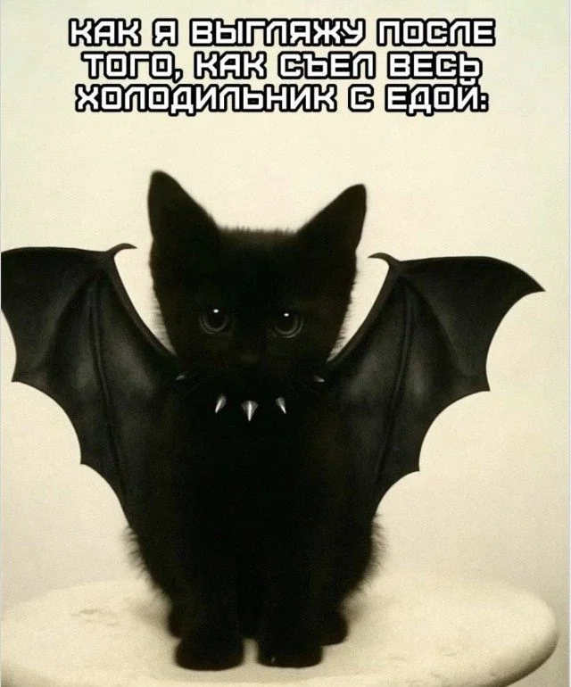Улыбнись, если сможешь Улыбнись, если сможешь мемы, юмор, приколы, картинки, подборка