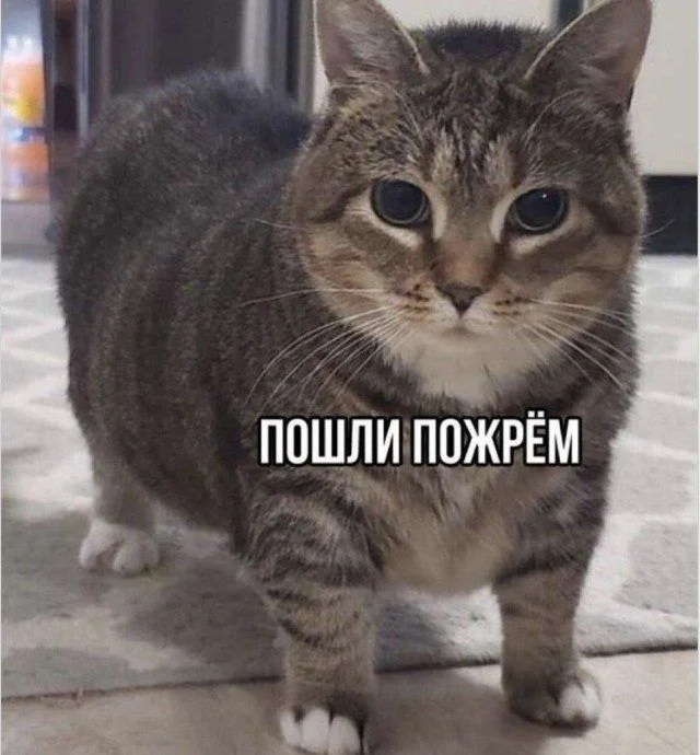 Улыбнись, если сможешь Улыбнись, если сможешь мемы, юмор, приколы, картинки, подборка