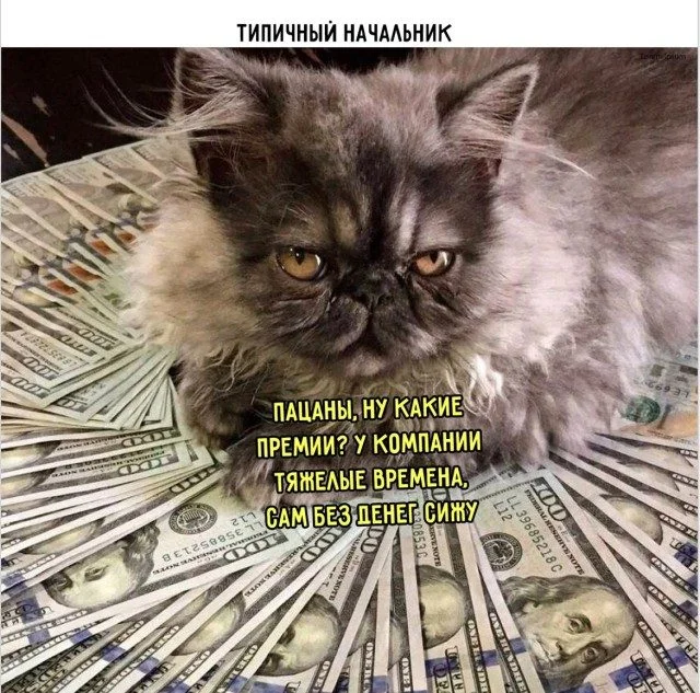 Улыбнись, если сможешь Улыбнись, если сможешь мемы, юмор, приколы, картинки, подборка