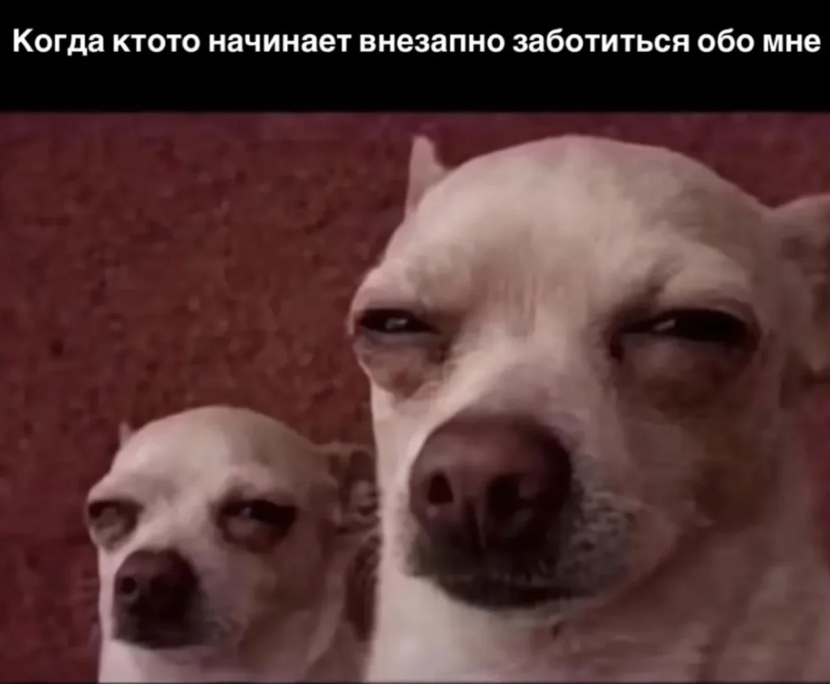 Смеёмся, пока сентябрь не убежал юмор, мемы, шутки, картинки, сентябрь, позитив
