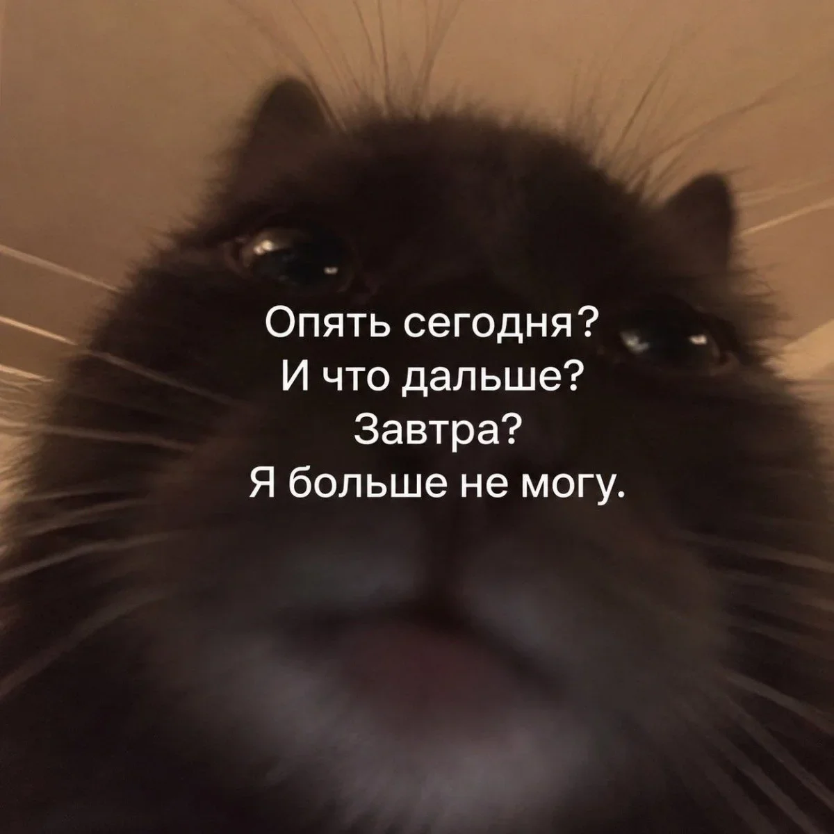 Смеёмся, пока сентябрь не убежал юмор, мемы, шутки, картинки, сентябрь, позитив