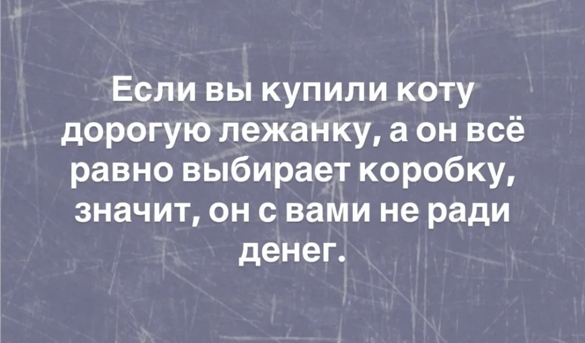Смеёмся, пока сентябрь не убежал юмор, мемы, шутки, картинки, сентябрь, позитив