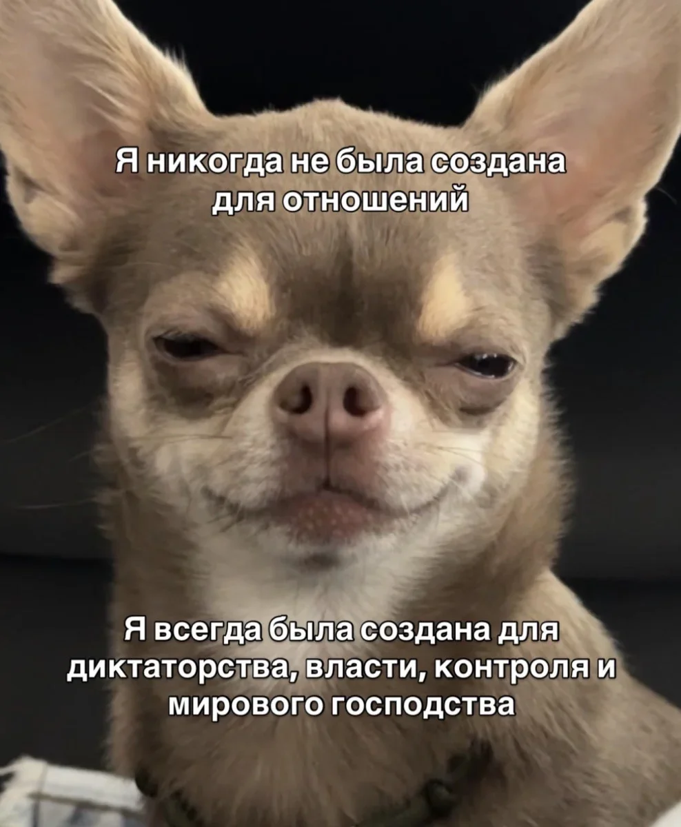 Смеёмся, пока сентябрь не убежал юмор, мемы, шутки, картинки, сентябрь, позитив