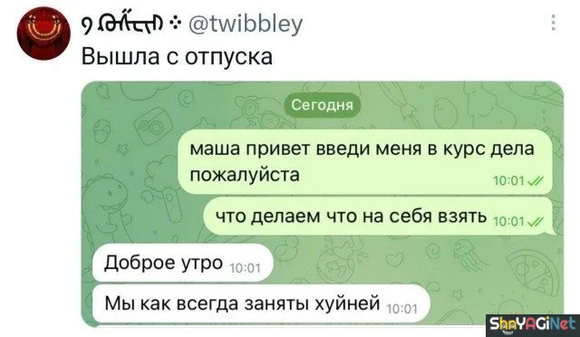 Работа не волк? А эти фото докажут обратное! приколы, работа, юмор, фото, офис, смешное