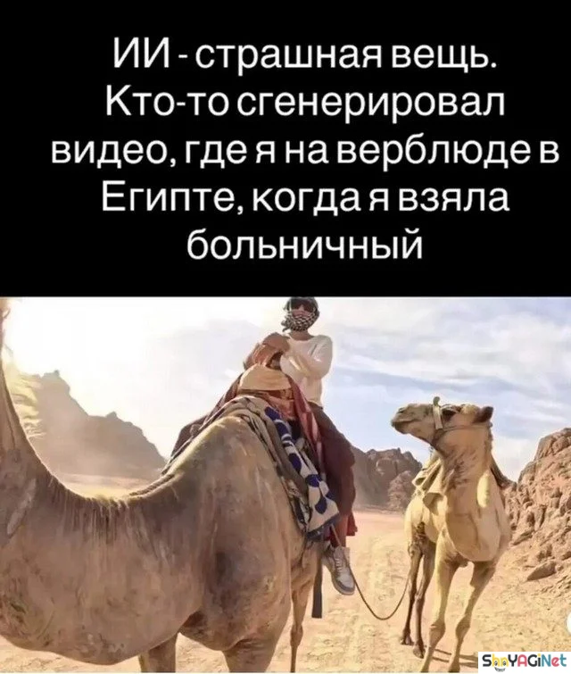 Работа не волк? А эти фото докажут обратное! приколы, работа, юмор, фото, офис, смешное