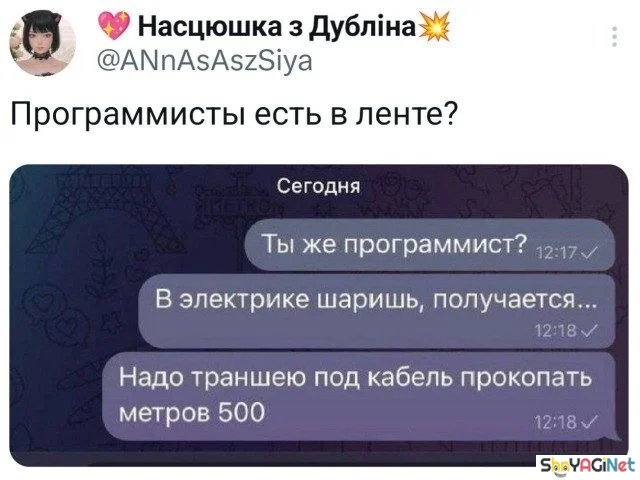 Работа не волк? А эти фото докажут обратное! приколы, работа, юмор, фото, офис, смешное