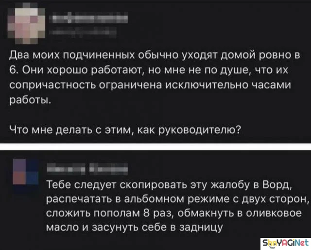 Работа не волк? А эти фото докажут обратное! приколы, работа, юмор, фото, офис, смешное