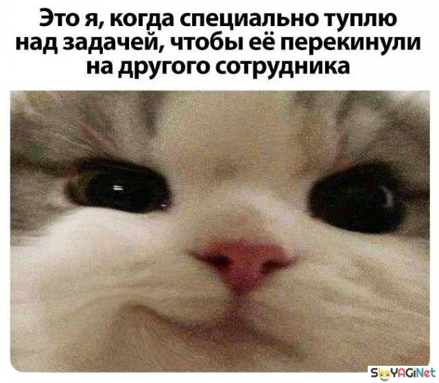 Работа не волк? А эти фото докажут обратное! приколы, работа, юмор, фото, офис, смешное