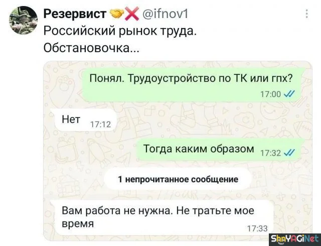 Работа не волк? А эти фото докажут обратное! приколы, работа, юмор, фото, офис, смешное
