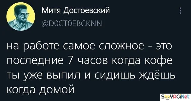 Работа не волк? А эти фото докажут обратное! приколы, работа, юмор, фото, офис, смешное