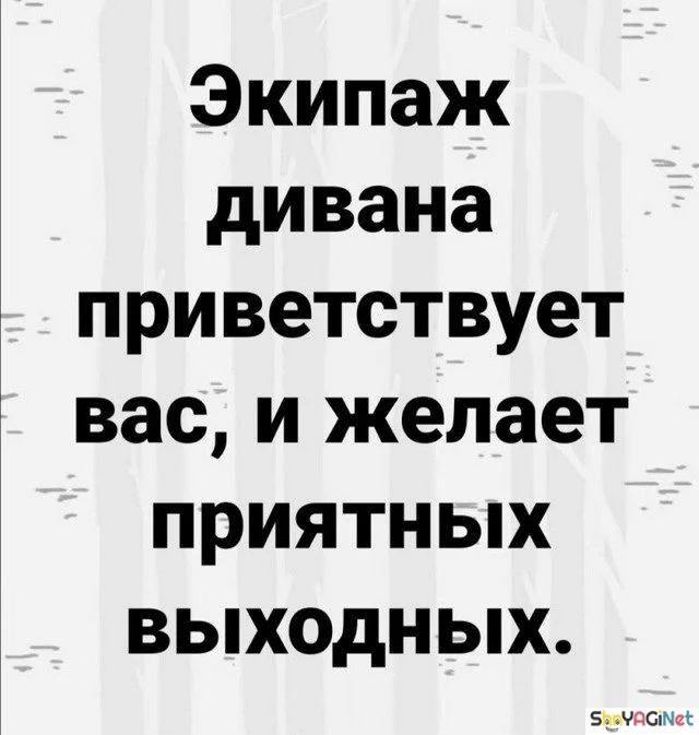 Фразы, от которых мурашки по коже Фразы, от которых мурашки по коже цитаты, подборка, статусы, мудрость, жизнь