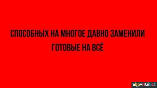 Фразы, от которых мурашки по коже Фразы, от которых мурашки по коже цитаты, подборка, статусы, мудрость, жизнь