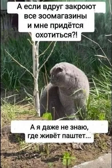Утренний заряд юмора: мемы и картинки для хорошего дня Утренний заряд юмора: мемы и картинки для хорошего дня мемы, картинки, юмор, позитив, подборка