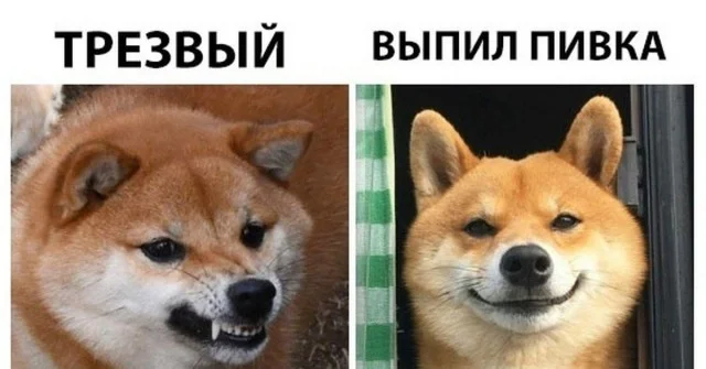 Утренний заряд юмора: мемы и картинки для хорошего дня Утренний заряд юмора: мемы и картинки для хорошего дня мемы, картинки, юмор, позитив, подборка
